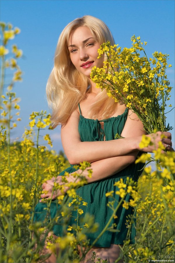 НЮ фотографии Katka на цветочном поле (14 фото)